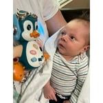 Image 7 of customer photos