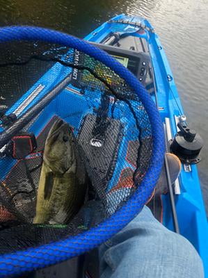 promar profloat landing net