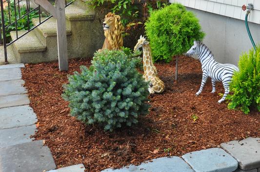 Lawn Or Patio Bits and Pieces Garden Décor-Zoey The Zebra Sculpture for Your Garden Lifelike Durable Polyresin Statue