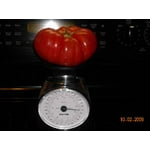 Image 3 of customer photos