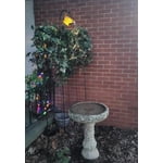 Image 1 of customer photos