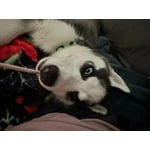 Image 6 of customer photos