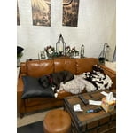 Image 2 of customer photos
