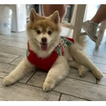 Image 6 of customer photos