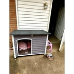 Image 1 of customer photos