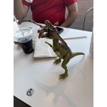 Image 5 of customer photos