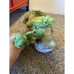 Image 5 of customer photos