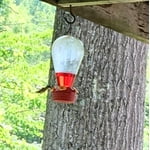 Image 2 of customer photos