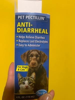 Diarrhea Medication Canine Meds Pet Pectillin Loose Motion