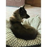 Image 4 of customer photos