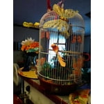 Image 3 of customer photos