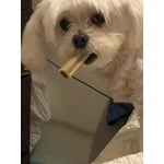 Image 3 of customer photos