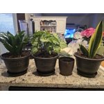 Image 7 of customer photos