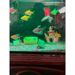 Image 2 of customer photos