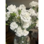 Image 8 of customer photos