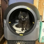 Image 2 of customer photos