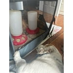 Image 5 of customer photos