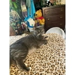 Image 4 of customer photos