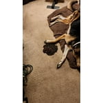 Image 4 of customer photos