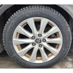 Image 2 of customer photos