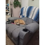 Image 6 of customer photos