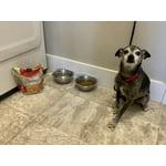 Image 7 of customer photos