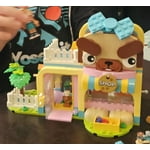 Image 1 of customer photos