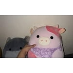 Image 7 of customer photos