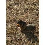 Imagen 8 de las fotos del cliente