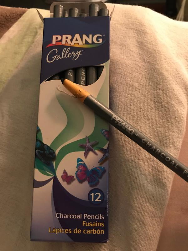 Prang Charcoal Pencils (Individual)