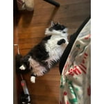 Image 2 of customer photos