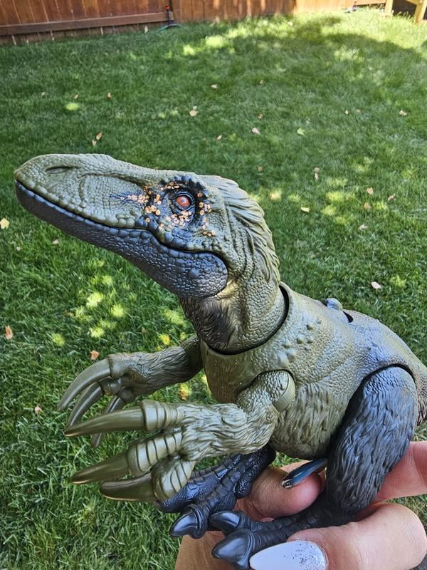 roarロアー×VITAL MATERIAL 新品 ディフューザー14300円黒 Customer reviews for Jurassic World Wild Roar Orkoraptor Dinosaur