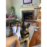 Image 3 of customer photos