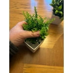 Image 4 of customer photos