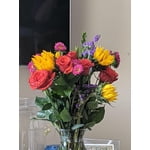 Image 2 of customer photos