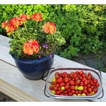 Image 4 of customer photos