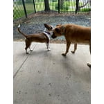 Image 1 of customer photos