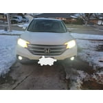 Image 6 of customer photos