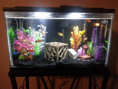 led 10 gallon aquarium hood