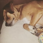 Image 6 of customer photos