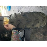 Image 7 of customer photos