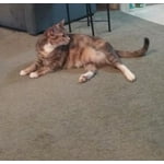 Image 2 of customer photos