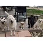 Image 5 of customer photos