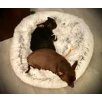 Image 3 of customer photos