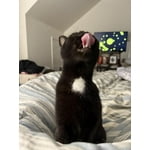 Image 7 of customer photos