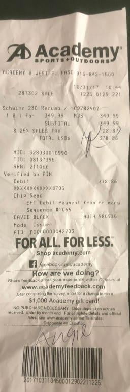 schwinn 230 recumbent bike academy