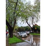 Imagen 7 de las fotos del cliente