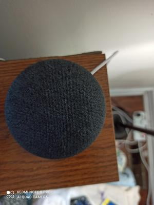 Google Nest Mini チャコール 2個セット Google Nest Mini 2nd Generation - Charcoal, Smart Home