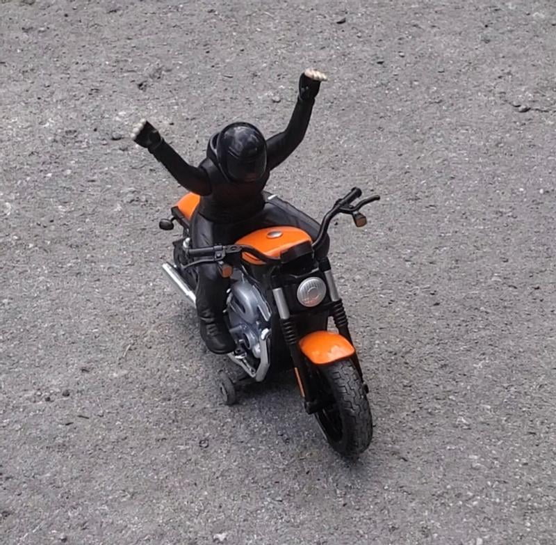 R/C H-D XL 1200N Nightster w/ Rider - Walmart.com