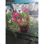 Image 1 of customer photos